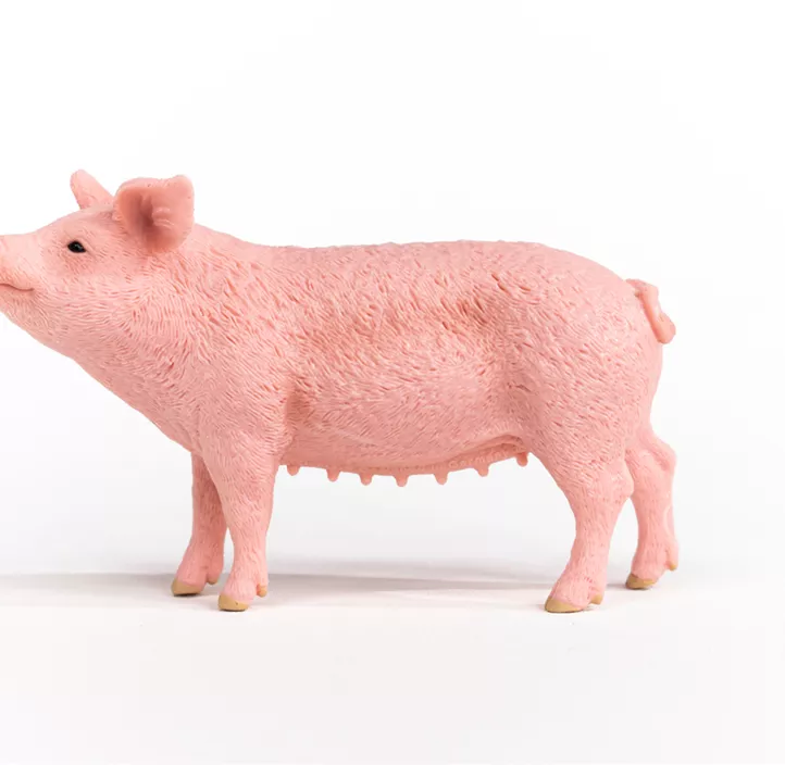Schwein