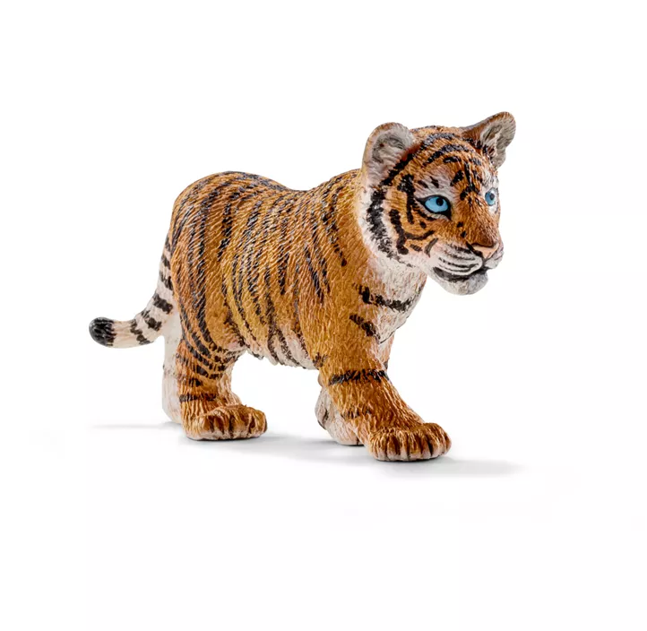 Tigerjunges