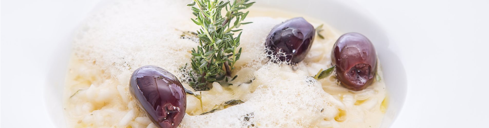 Thymian_mmg-design-120-601-891-4316-2427 Thymian_mmg-design-120-601-891-4316-2427