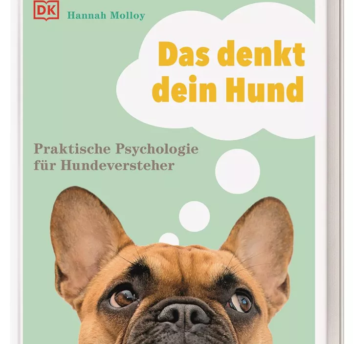 Das denkt dein Hund