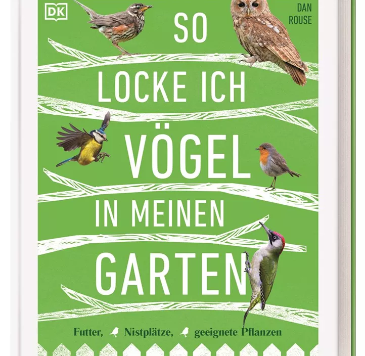So locke ich Vögel in meinen Garten