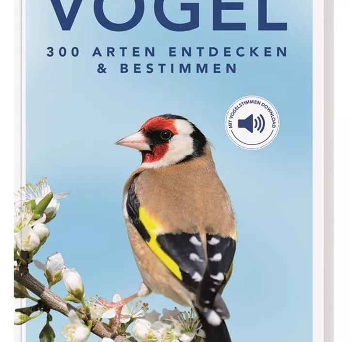 Vögel 300 Arten entdecken und bestimmen