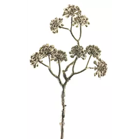 Beeren Pick Beeren Pick