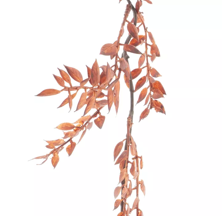 Blattgirlande Smilax