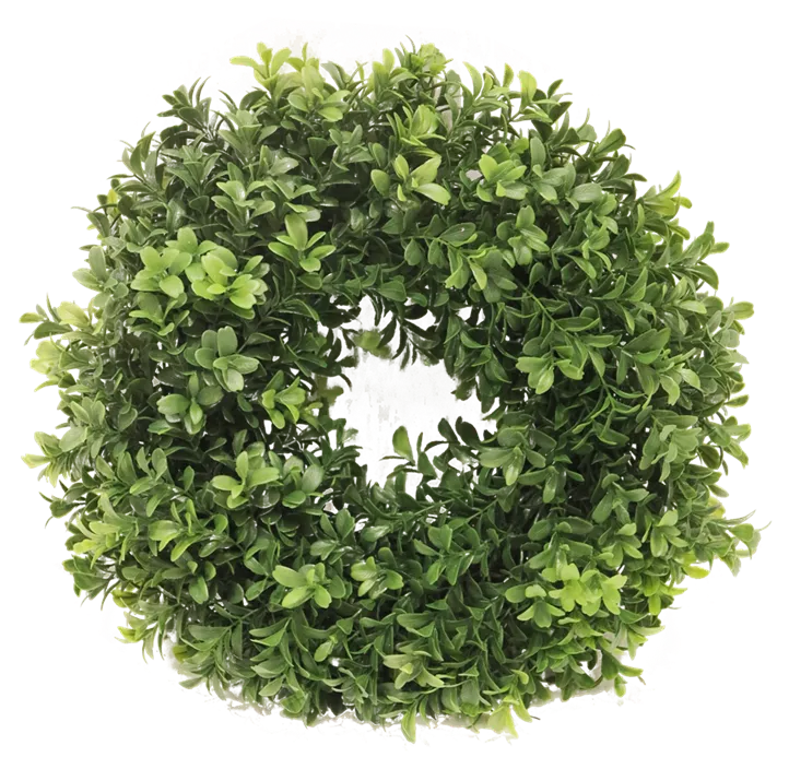 Buchs Kranz Orion
