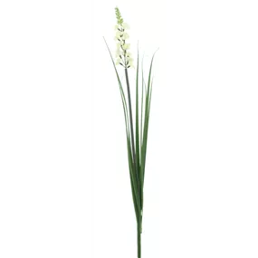 Budleja Zweig mit Gras