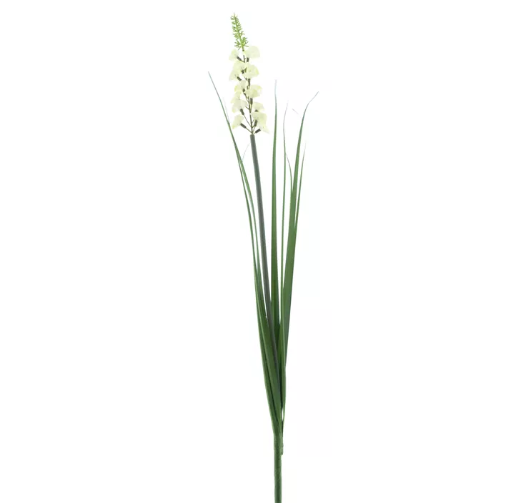 Budleja Zweig mit Gras