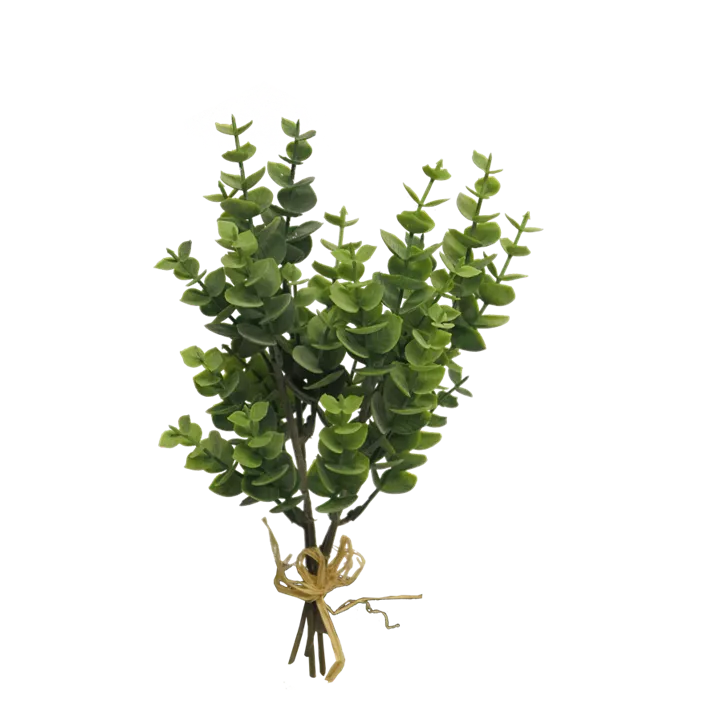 Eucalyptus Bund