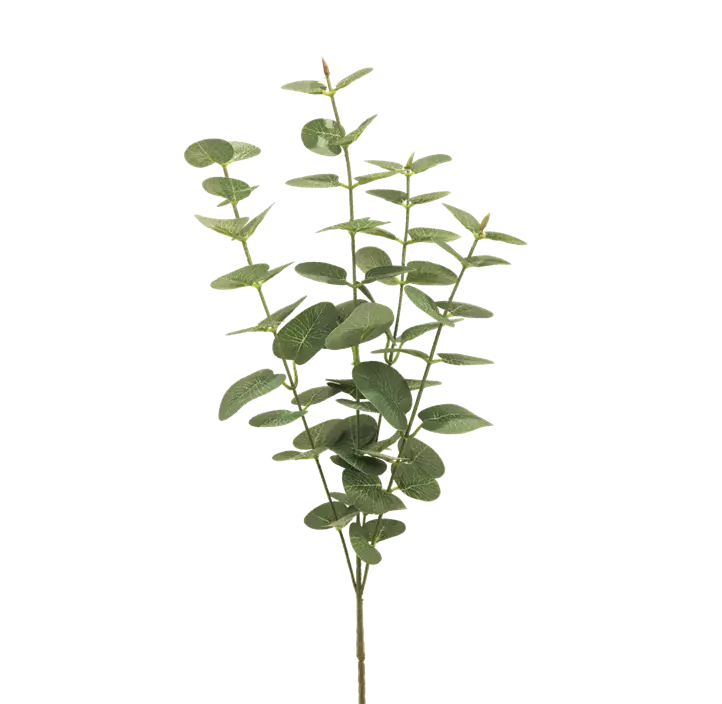 Eucalyptuszweig Jewel