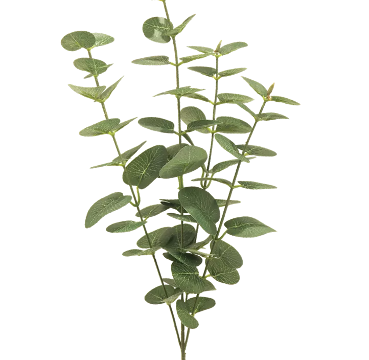 Eucalyptuszweig Jewel