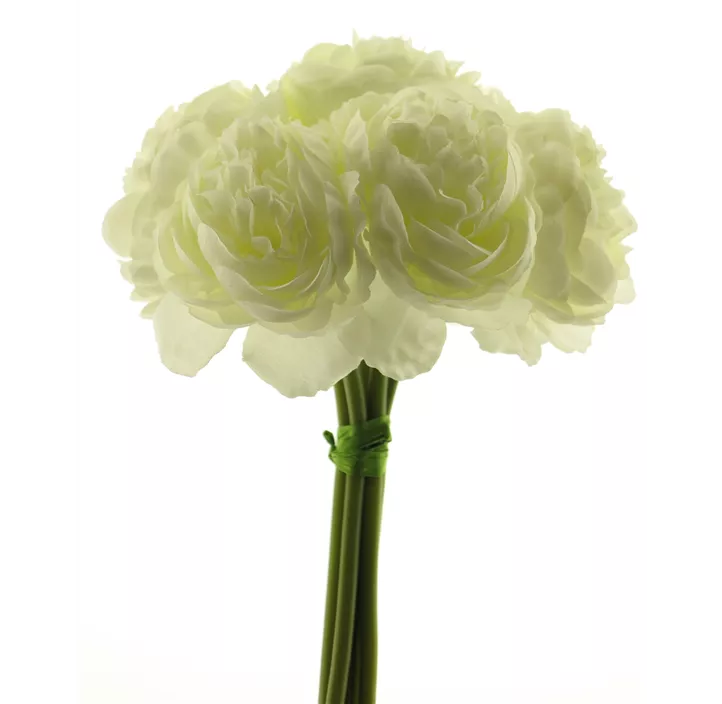 Gartenrose Bund