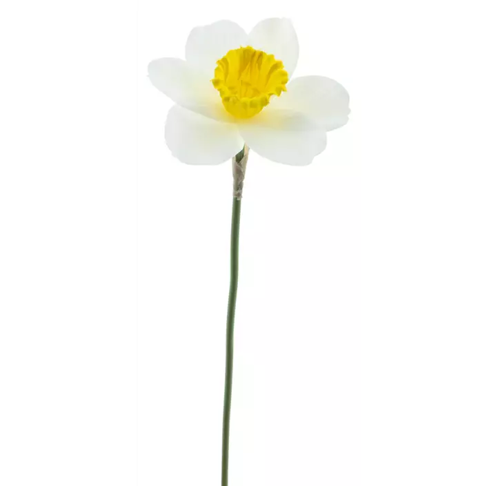 Märzenbecher