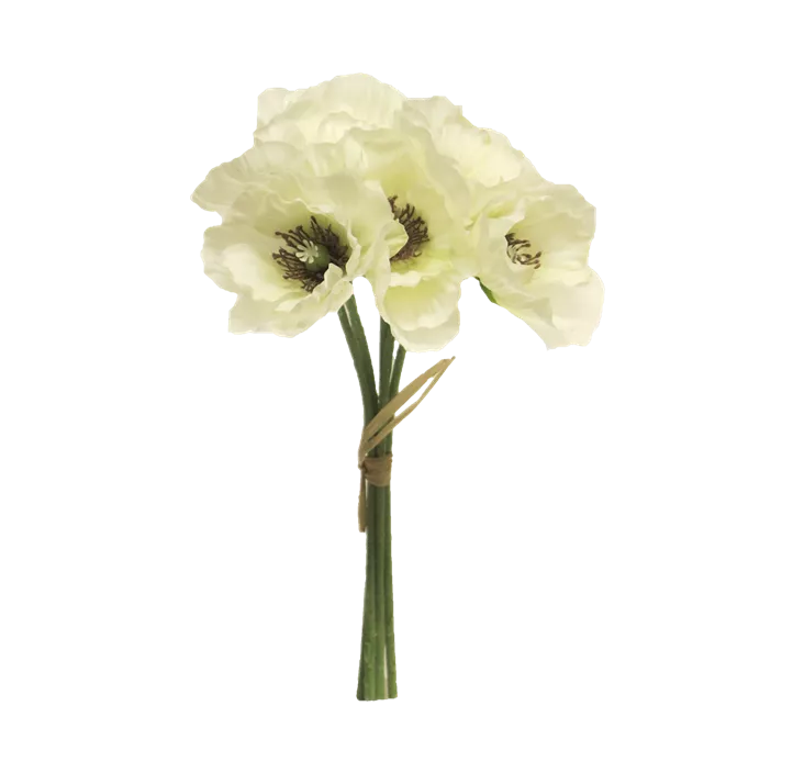 Mohn Bund