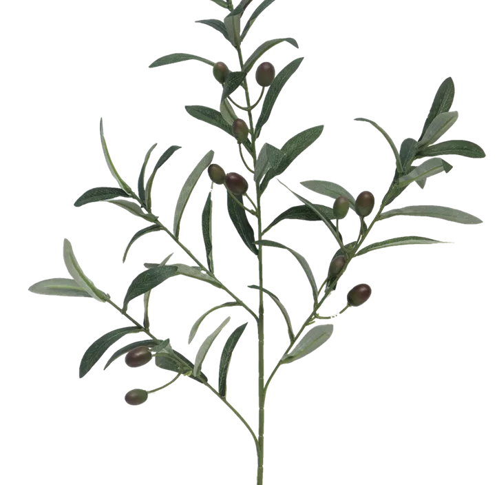 Olivenzweig Flexa
