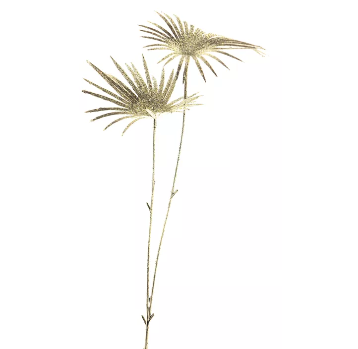 Palmblatt Zweig