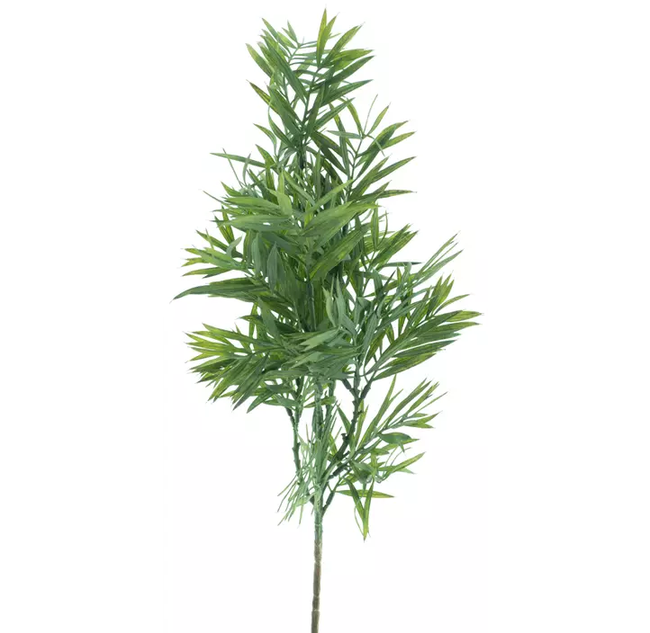 Palmblatt Zweig
