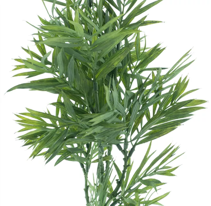 Palmblatt Zweig
