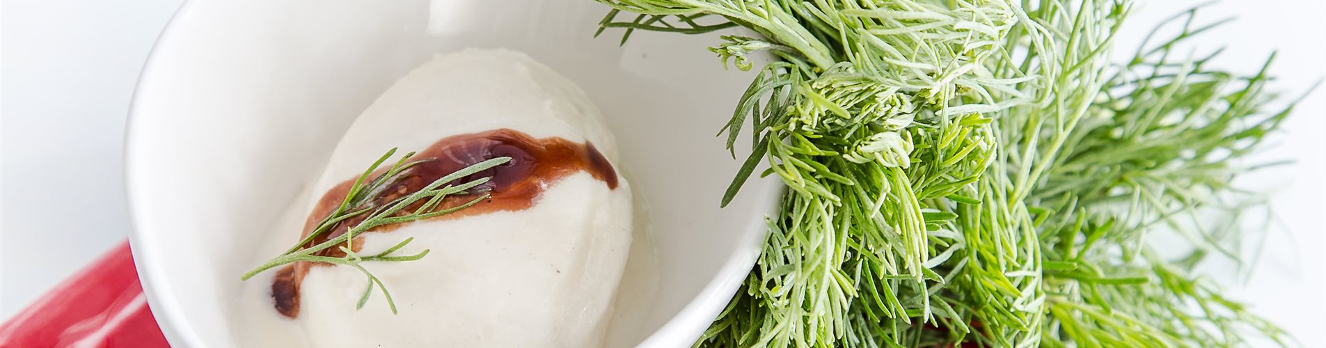 Colaeis mit Colastrauch