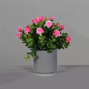Blüten Arrangement im weißen Kunstofftopf
