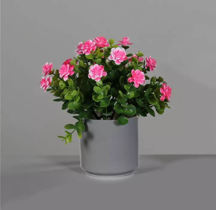 Blüten Arrangement im weißen Kunstofftopf