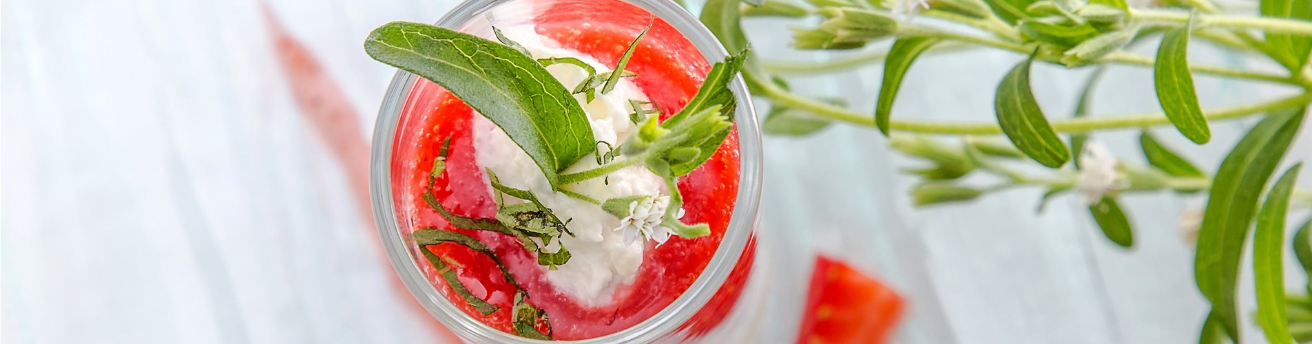 Stevia_suesskraut_mmg-design-228-1079-621-3596-2023 Stevia_suesskraut_mmg-design-228-1079-621-3596-2023