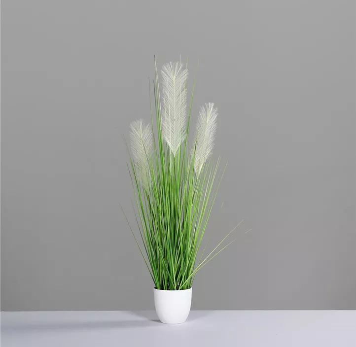 Gras im weißen Kunststofftopf