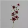 bellaflora Gartencenter GmbH
