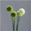 bellaflora Gartencenter GmbH