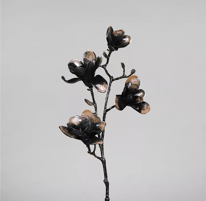 Magnolie mit vier Blüten