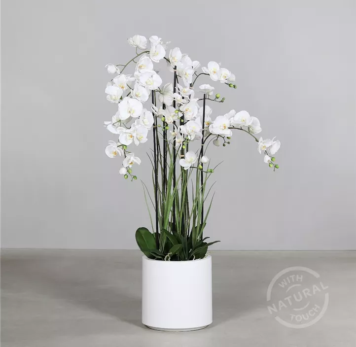 Orchidee Arrangement im weißen Topf