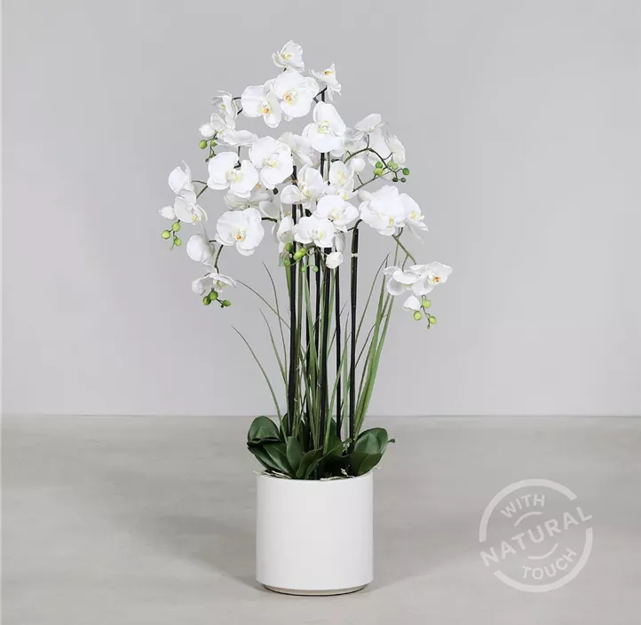 Phalaenopsis Arrangement im weißen Dekotopf