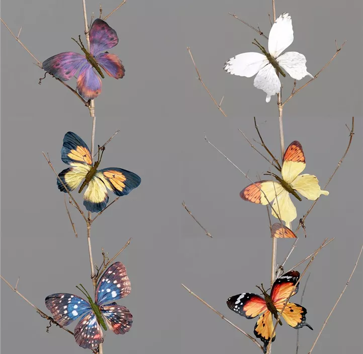 Schmetterling mit Clip