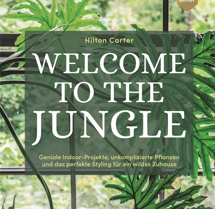 Welcome to the jungle