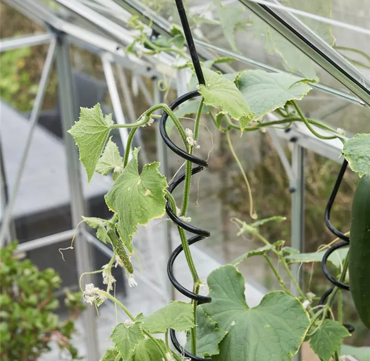 Garden Room grün m/3 mm Sicherheitsglas ohne Funda