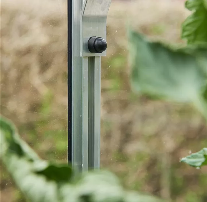 Garden Room grün m/3 mm Sicherheitsglas ohne Funda