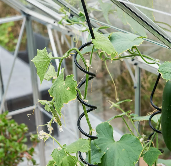 Magnum 108 m/ 3 mm Sicherheitsglas