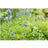 bellaflora Gartencenter GmbH