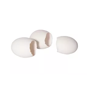 Gänse Ei offen 6er Box