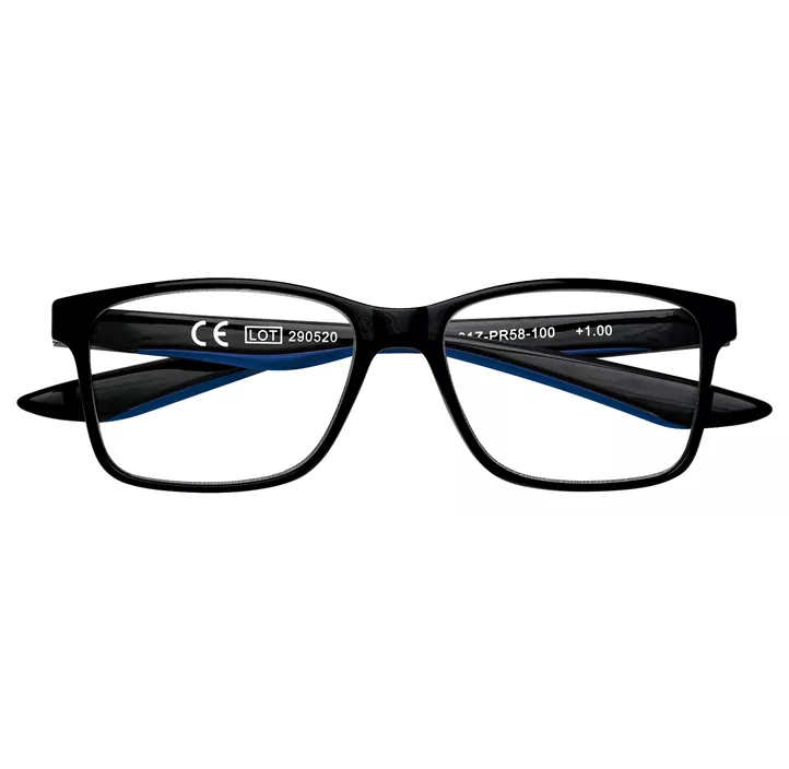 Lesebrille 31Z-PR58