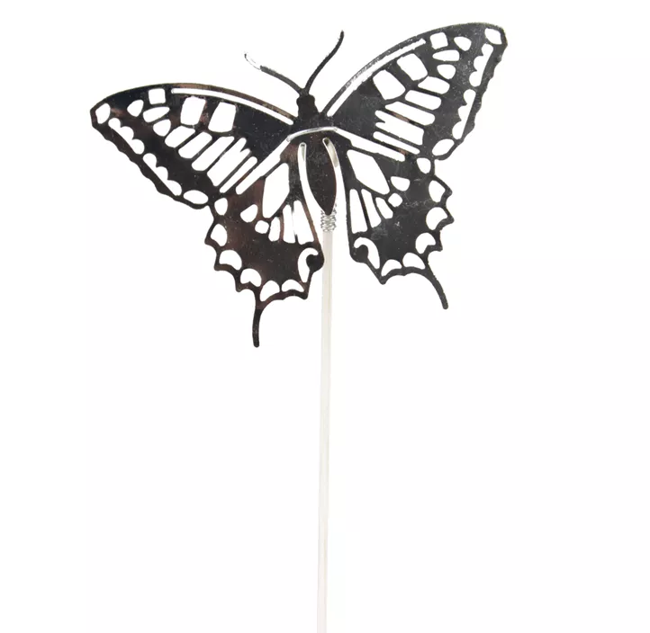Stecker Schmetterling Orchideea
