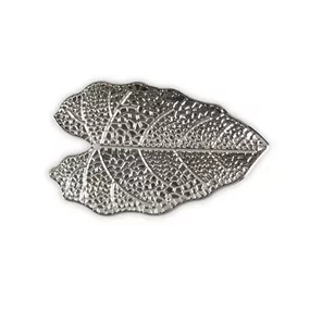 Blatt Alocasia mit Loch