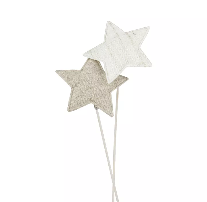 Stecker Stern Naturals
