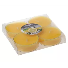 Maxilicht Citronella, 4Stk