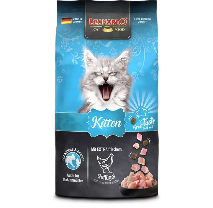 Trockenfutter Kitten