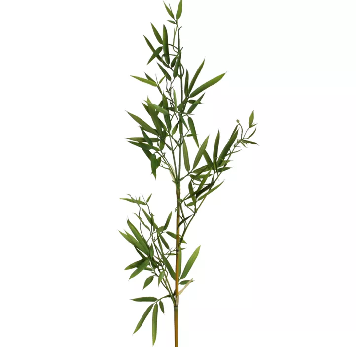 Bambuszweig