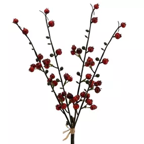 Beerenbund
