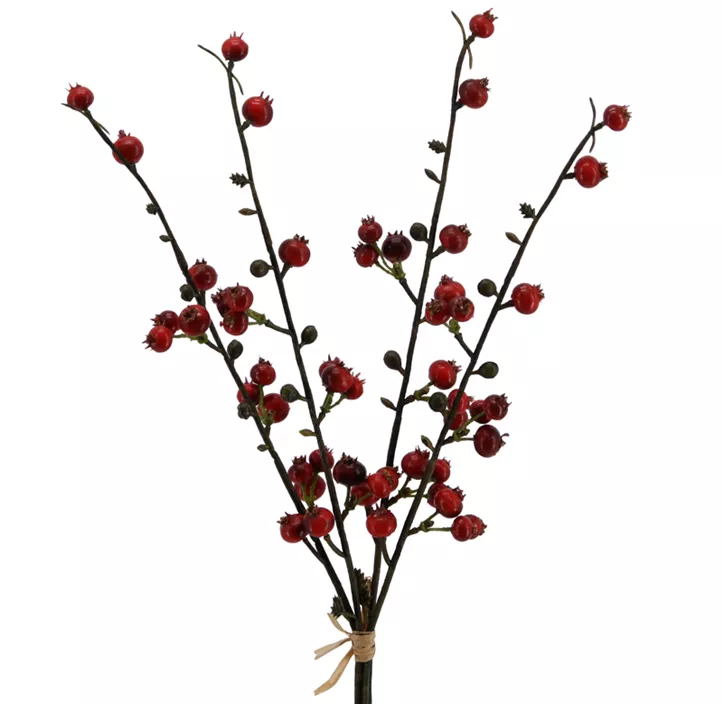 Beerenbund