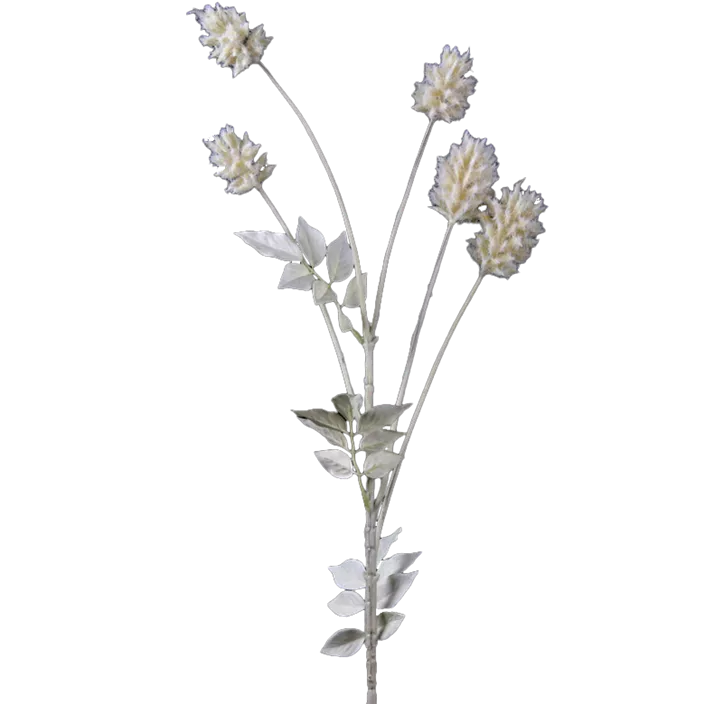 Clematiszweig x5