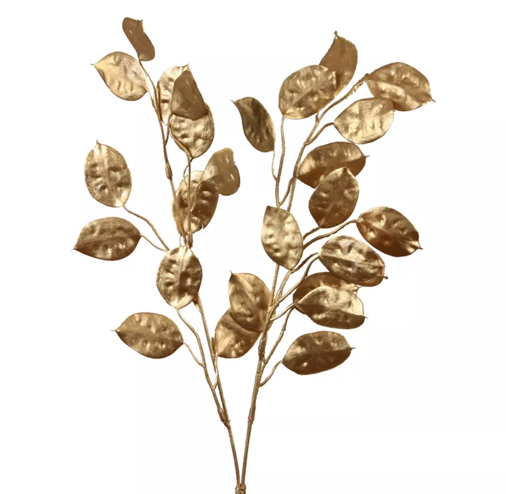 Lunaria Bund