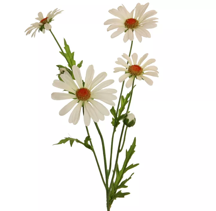Margerite 60cm